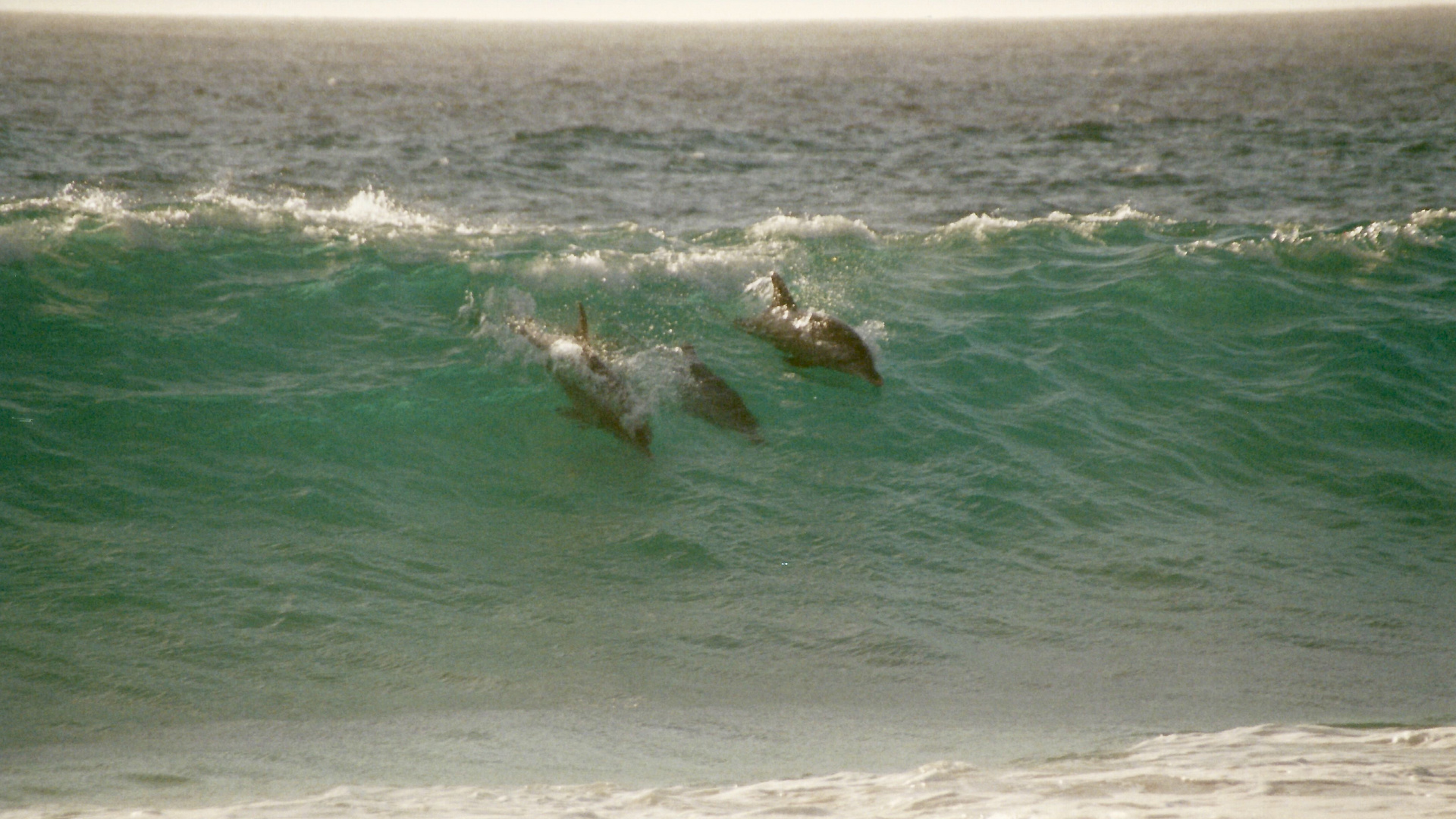 Australien (2001), Cape Leeuwin