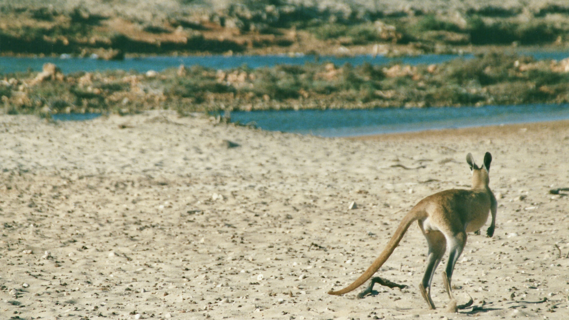 Australien (2001), Cape Range NP