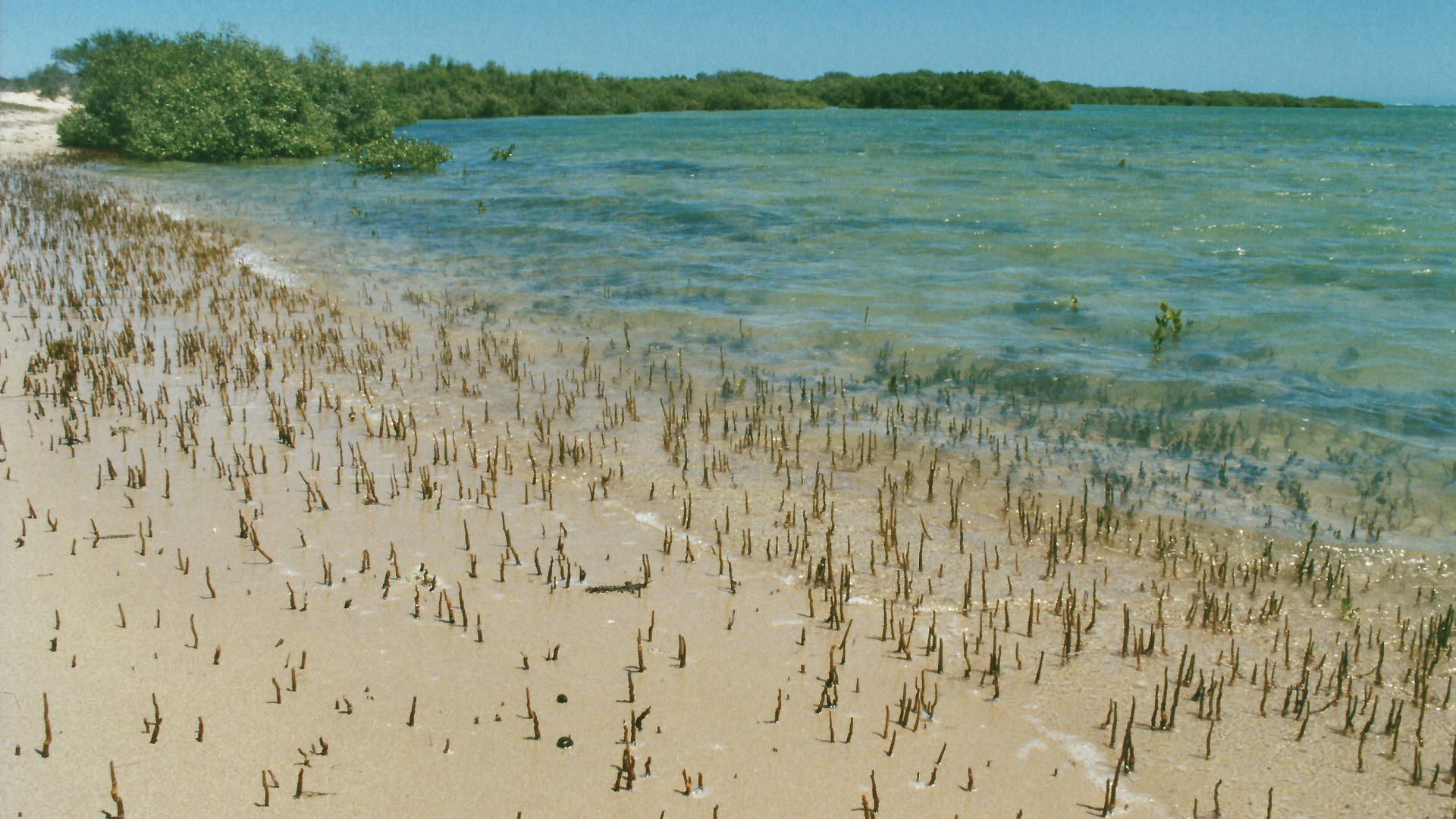 Australien (2001), Cape Range NP