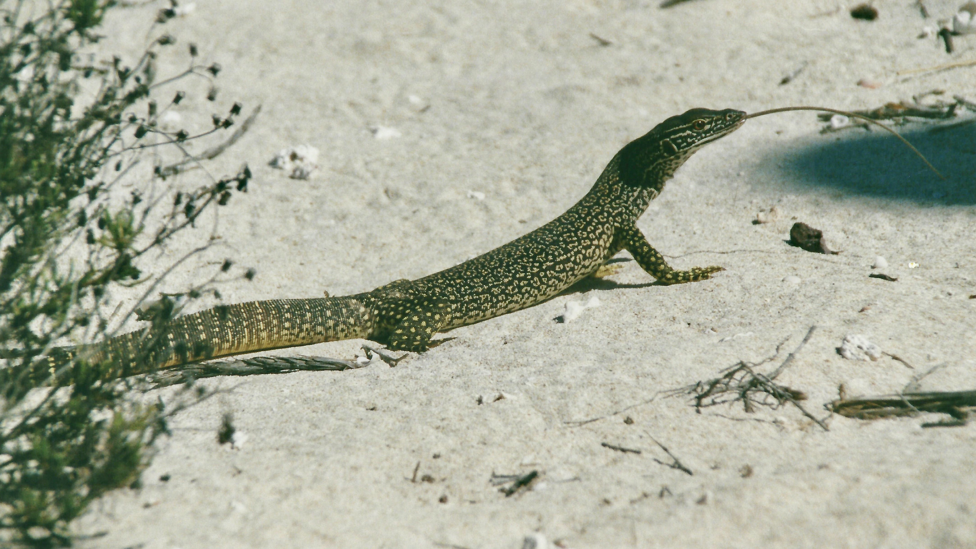 Australien (2001), Cape Range NP