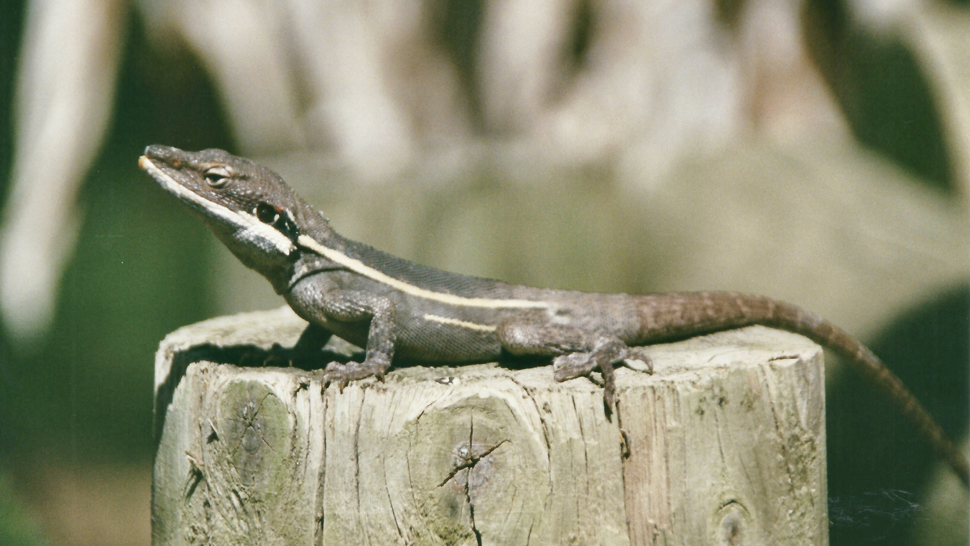 Australien (2001), Kalbarri NP