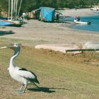 Australien (2001), Kalbarri NP