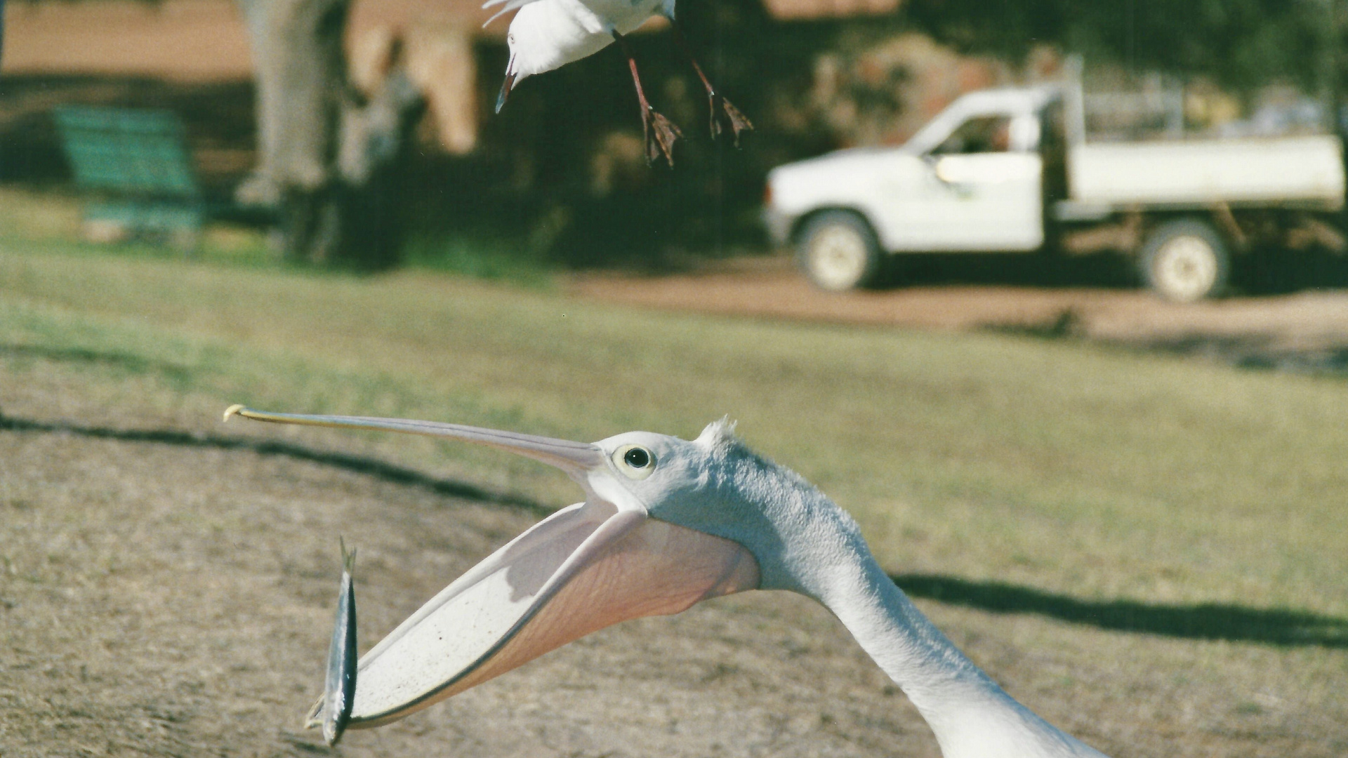 Australien (2001), Kalbarri NP