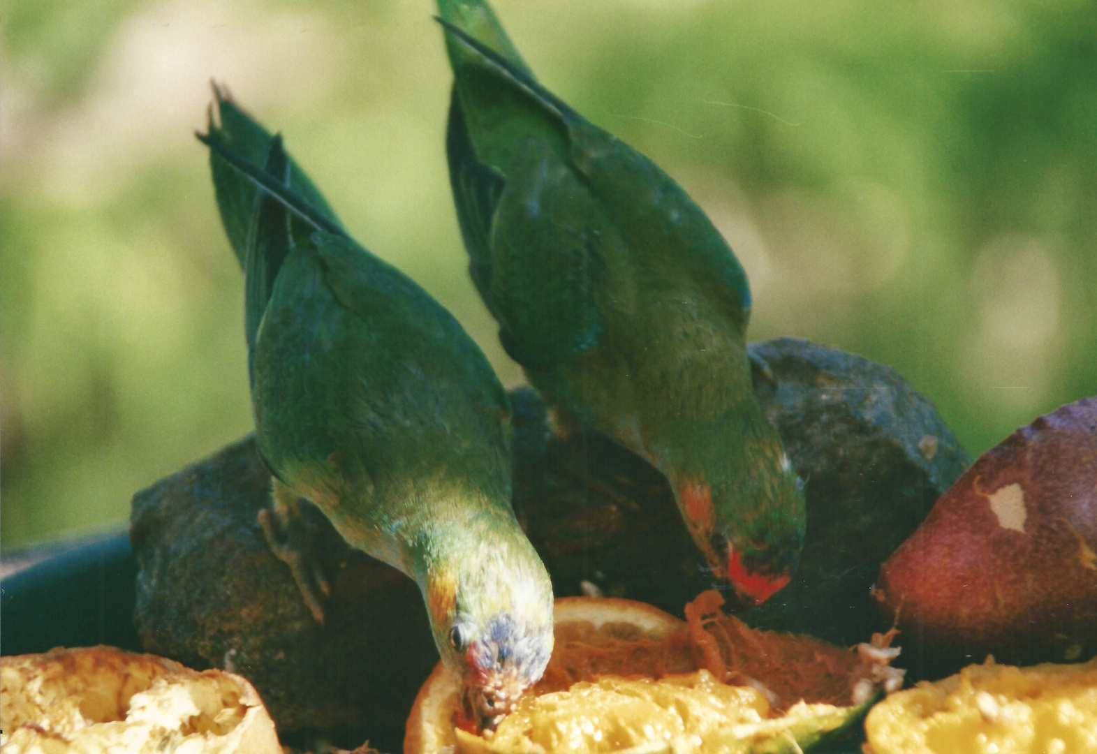 Australien (2001), Kalbarri NP