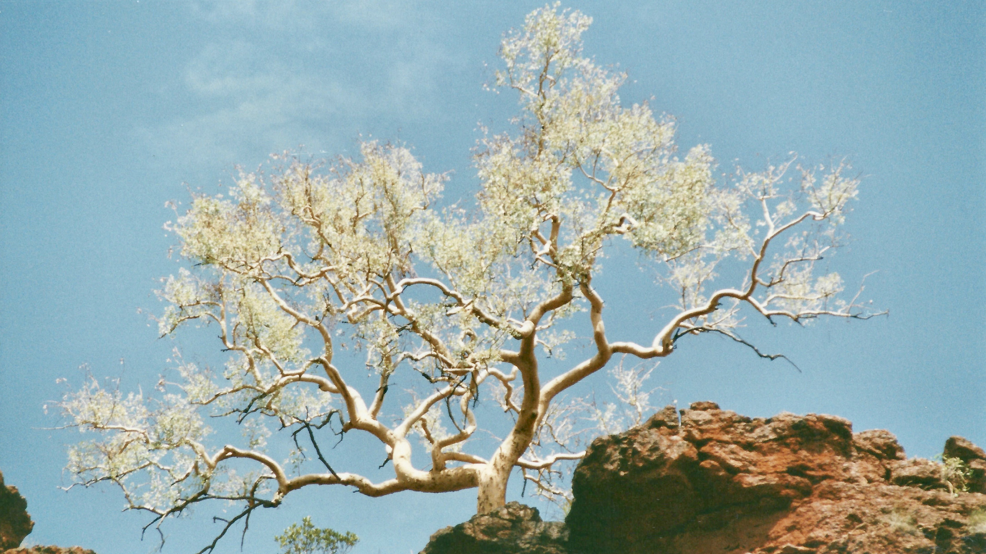 Australien (2001), Karijini Nationalpark