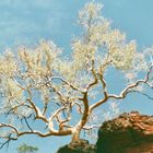 Australien (2001), Karijini Nationalpark