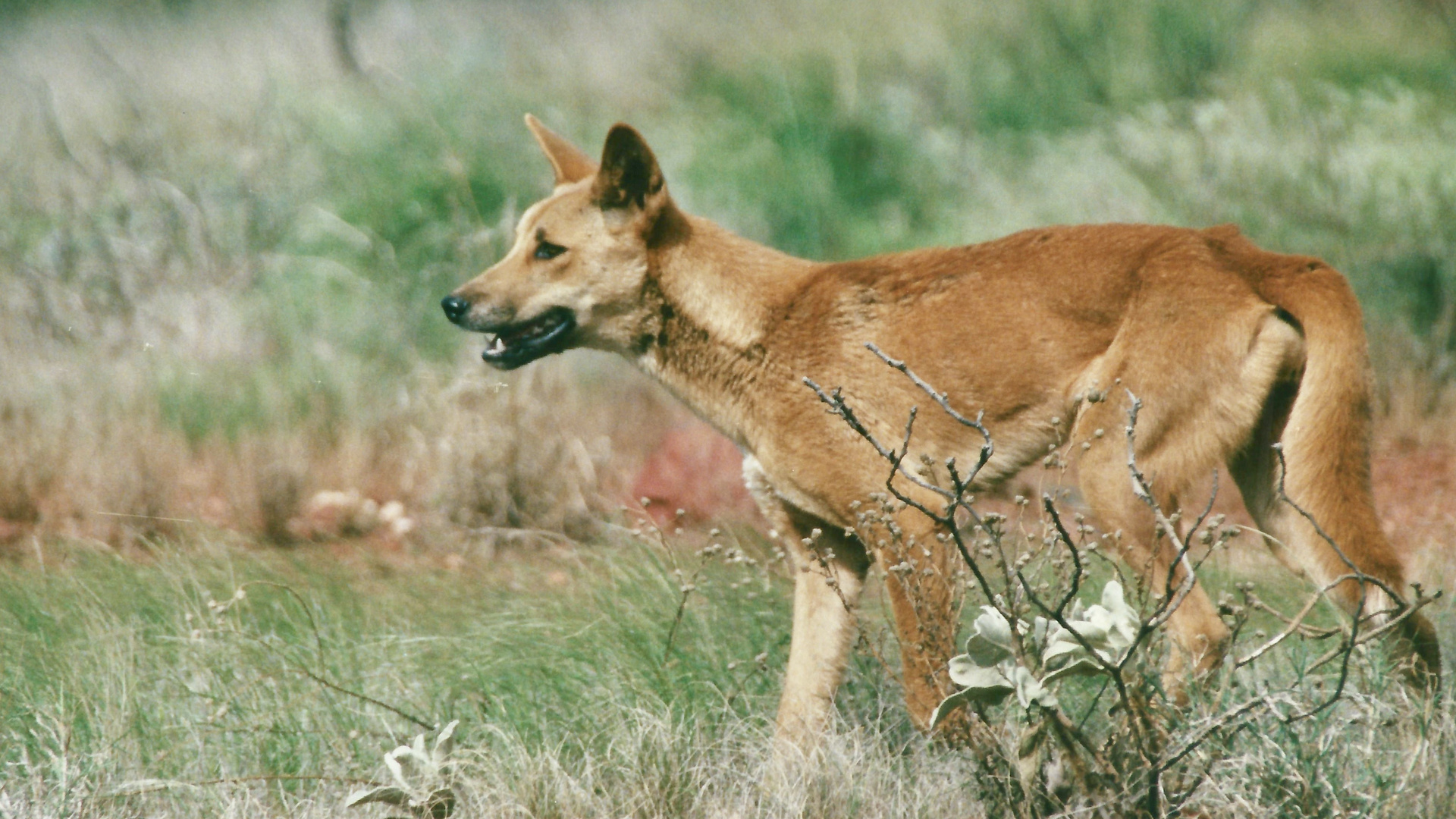 Australien (2001), Karijini Nationalpark