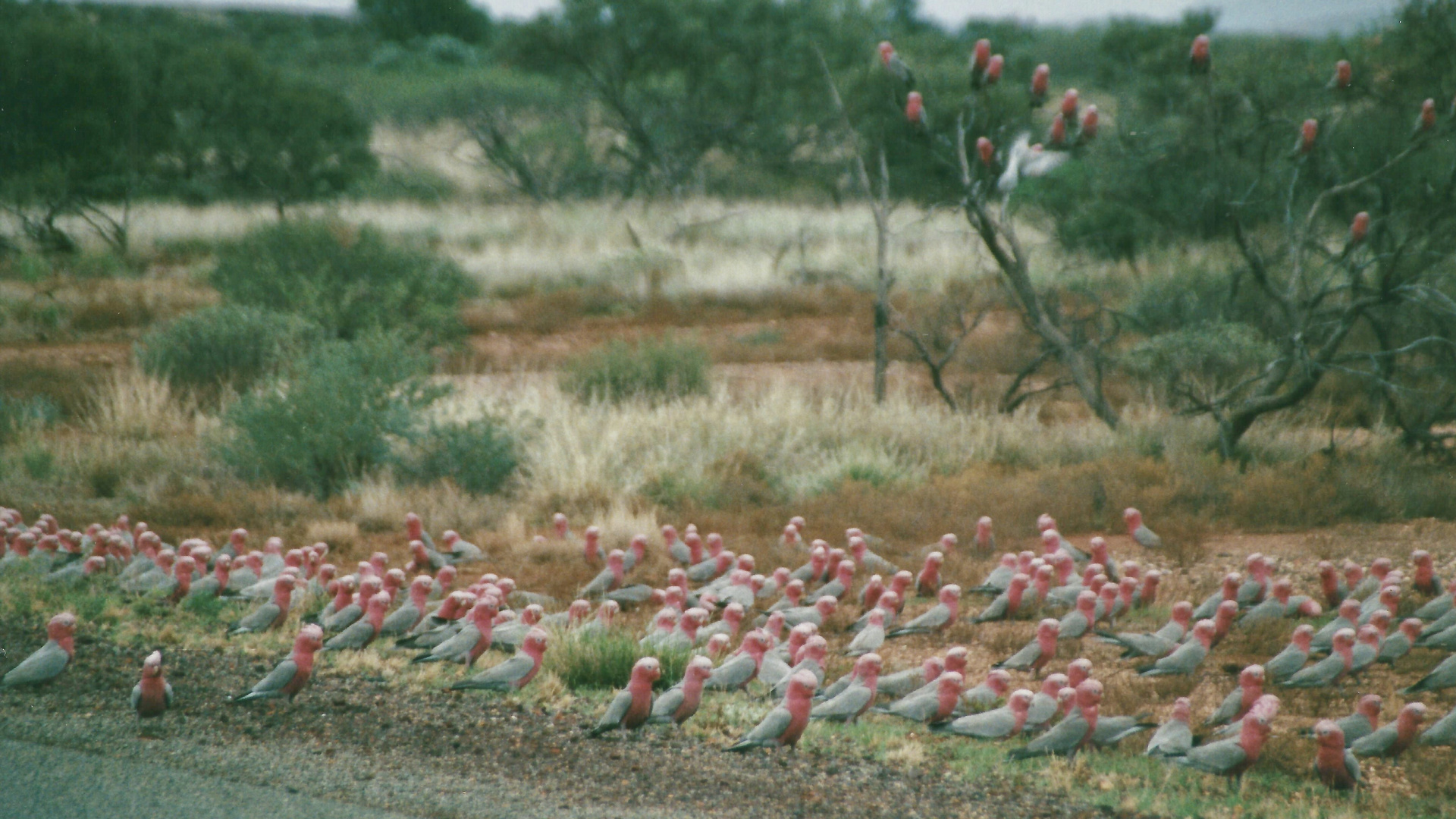 Australien (2001), Karijini Nationalpark