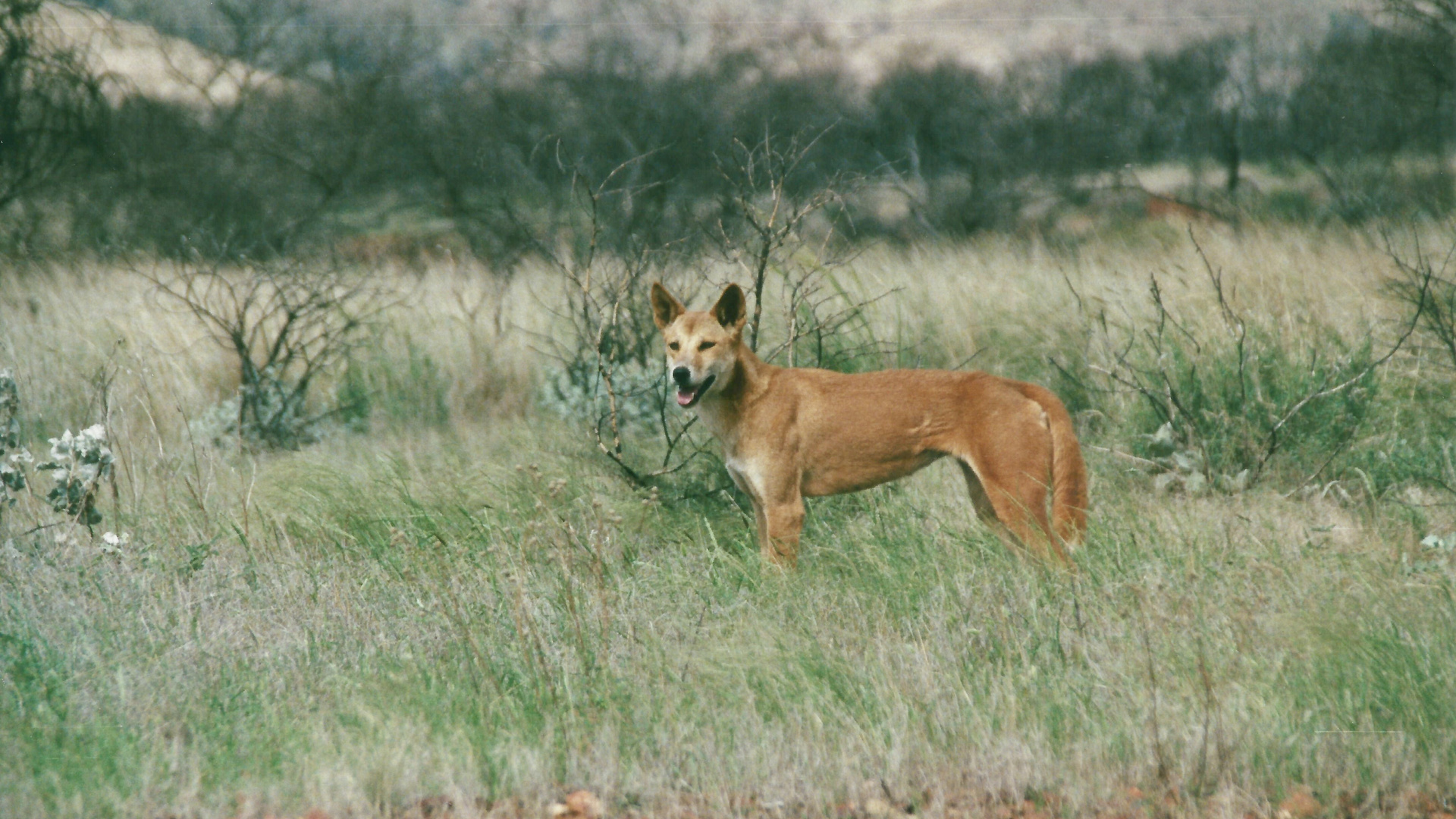 Australien (2001), Karijini Nationalpark