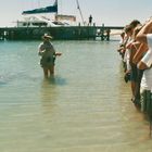 Australien (2001), Shark Bay