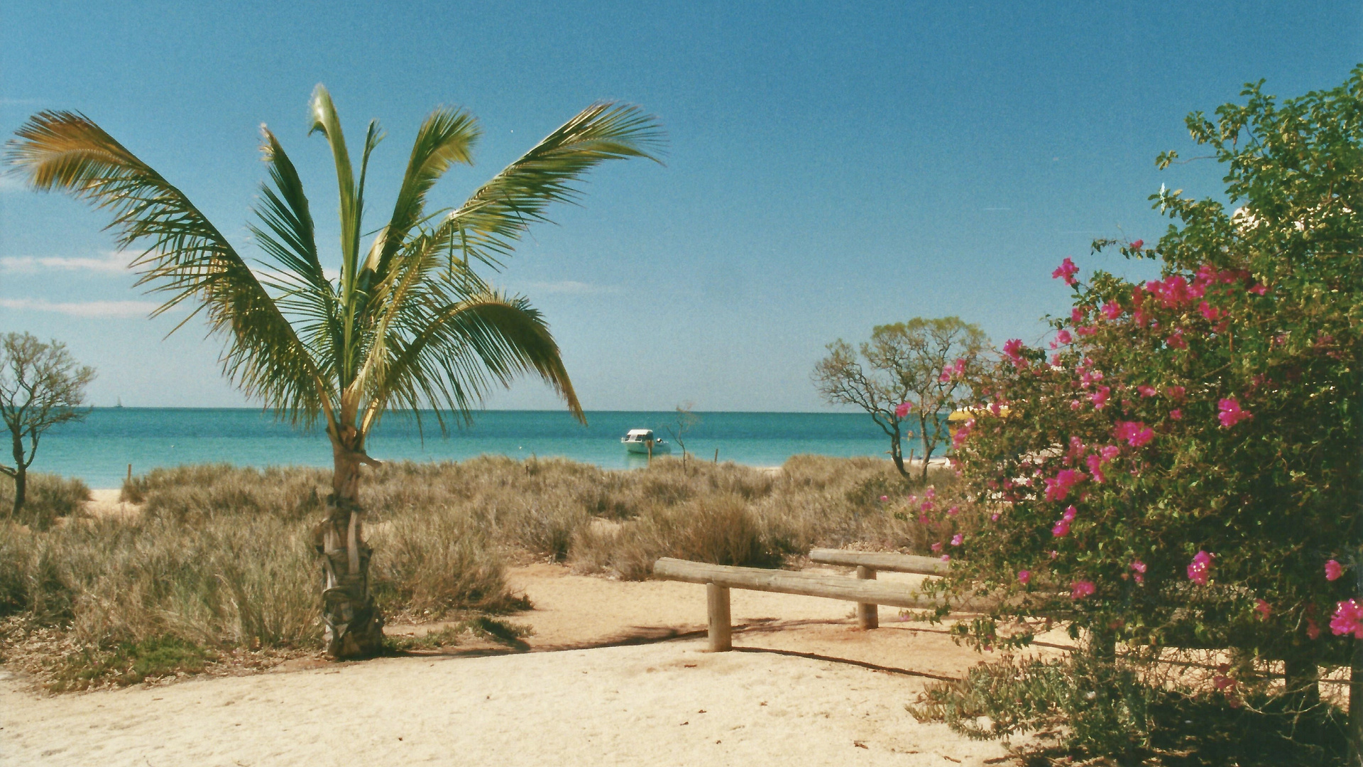 Australien (2001), Shark Bay