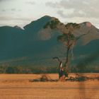 Australien (2001), Stirling Range NP