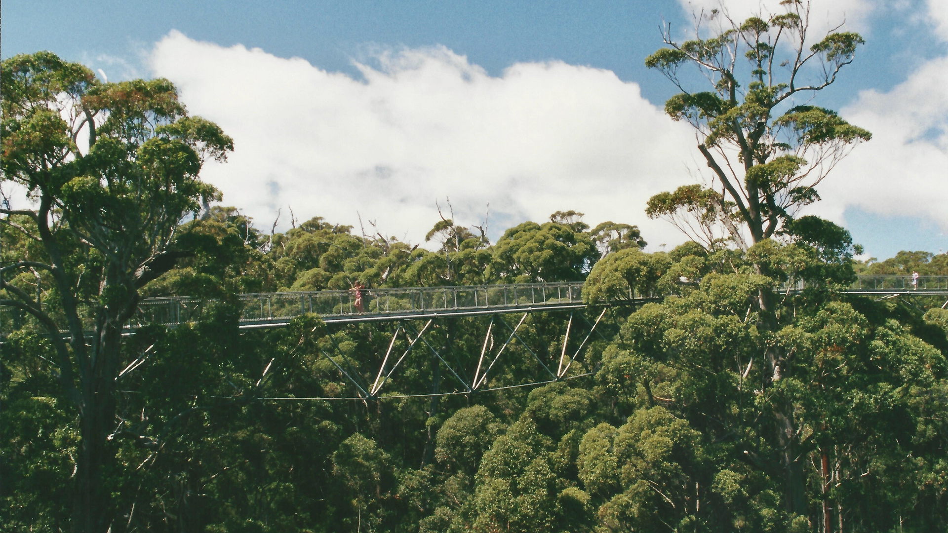 Australien (2001), Valley of Giants