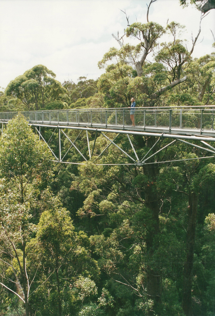 Australien (2001), Valley of Giants