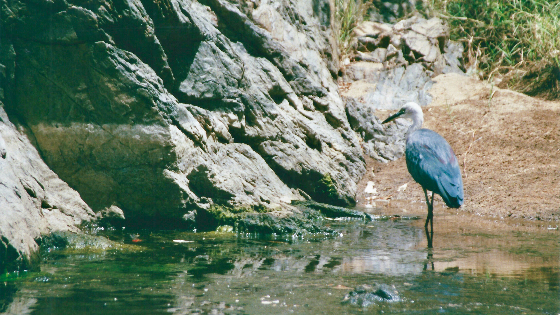 Australien (2001), Western McDonnell Ranges