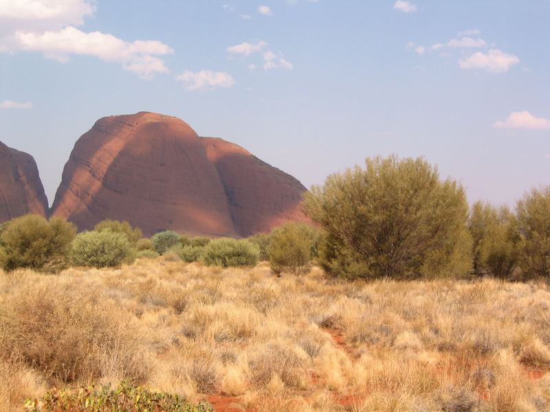 Australien 2002; durchs Outback