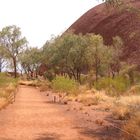 Australien 2002, Uluru