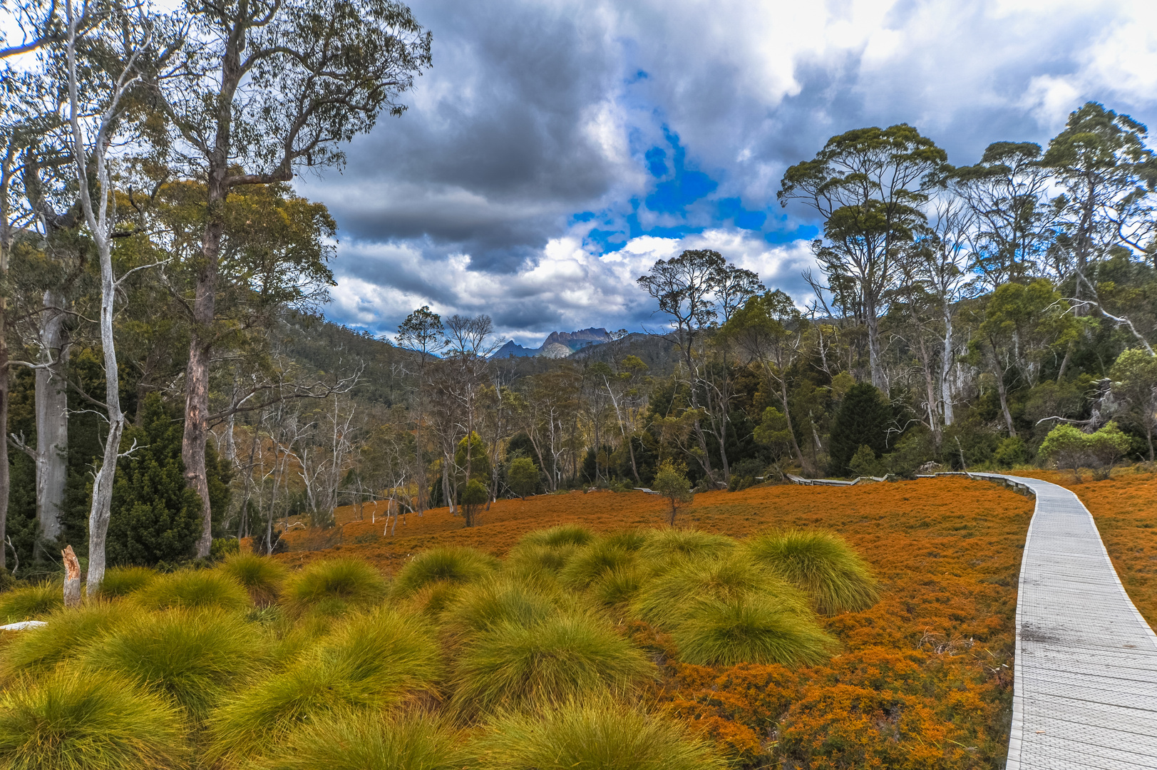 Australien 2012: Tasmanien, Cradle Mountain N.P.