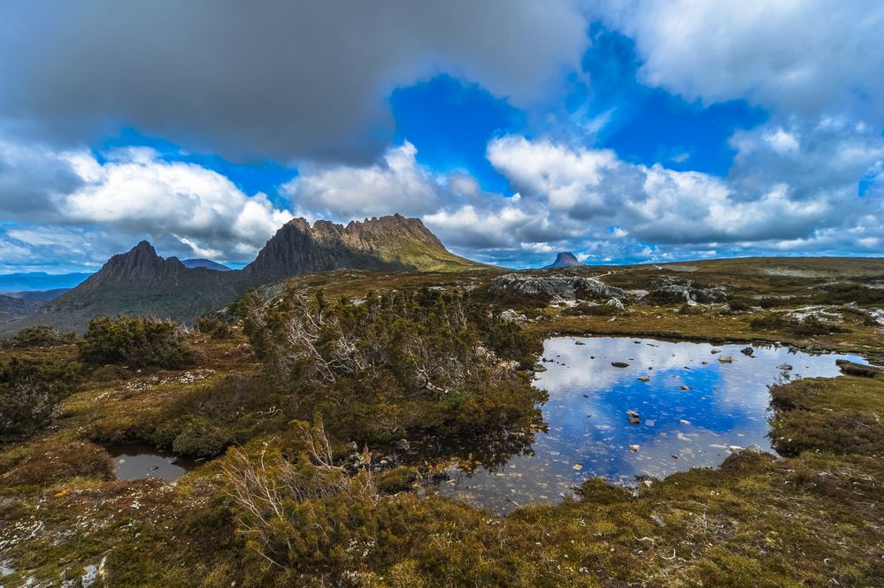 Australien 2012: Tasmanien, Wanderweg zum Cradle Mountain 