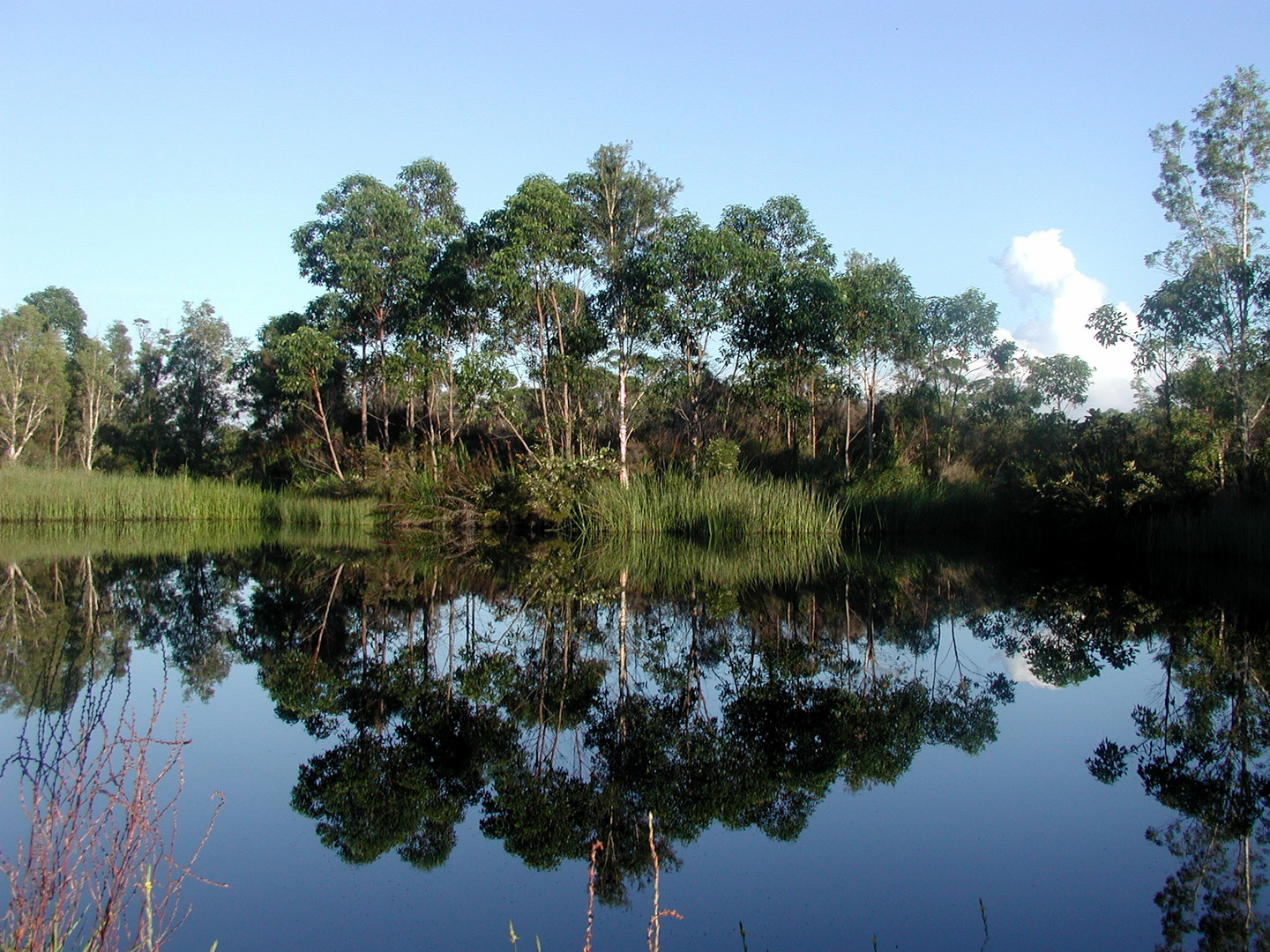 Australien Frasers Island