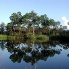 Australien Frasers Island