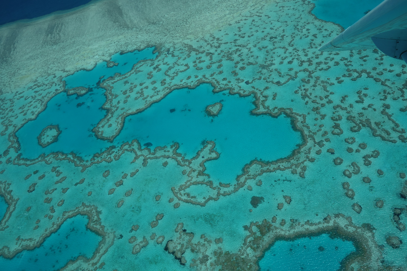 Australien - Great Barrier Reef - Heart Reef