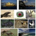 Australien - Impressionen