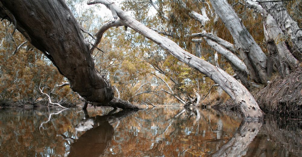 Australien, irgendwo in Queensland