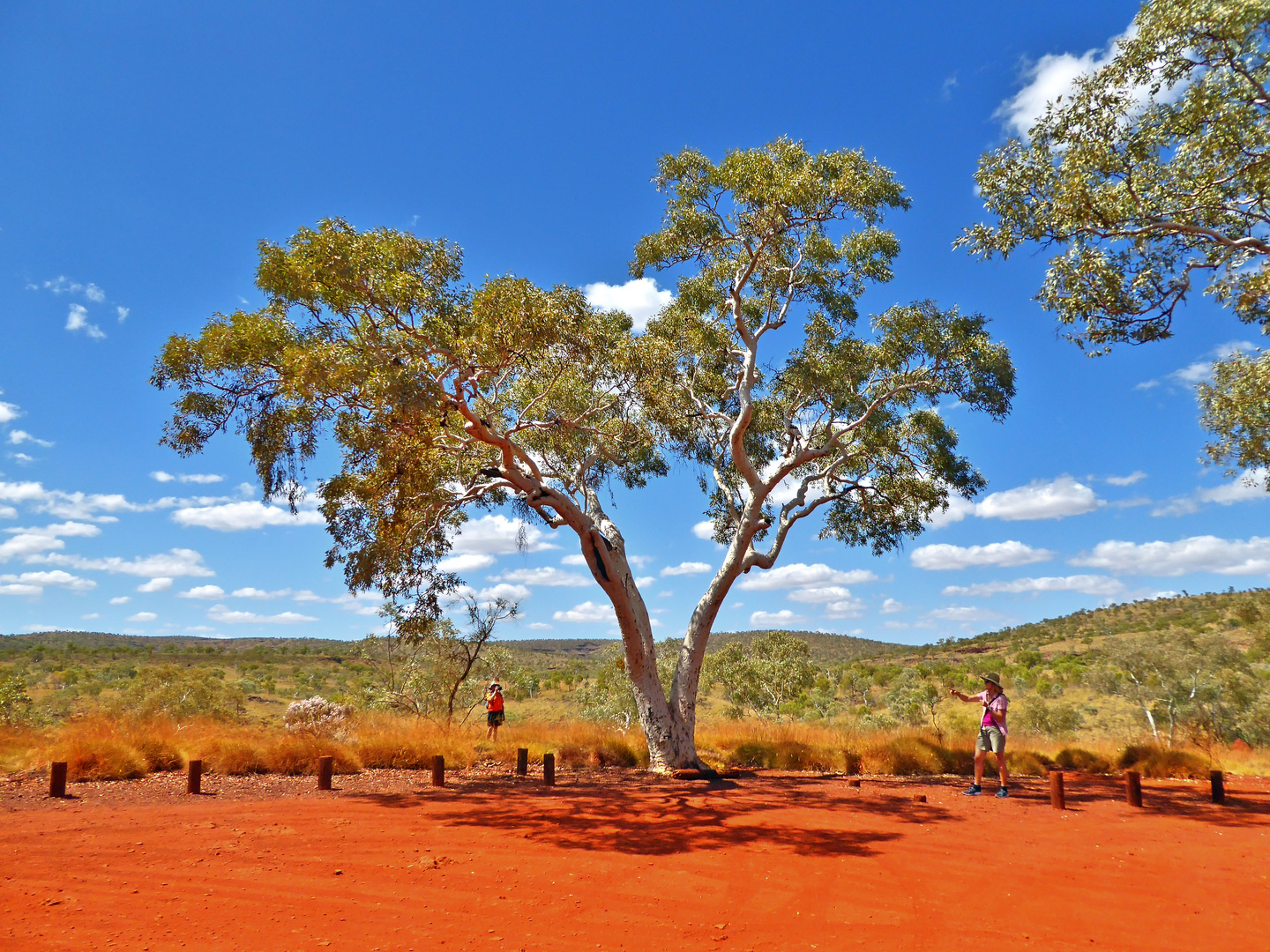 Australien ist bunt!