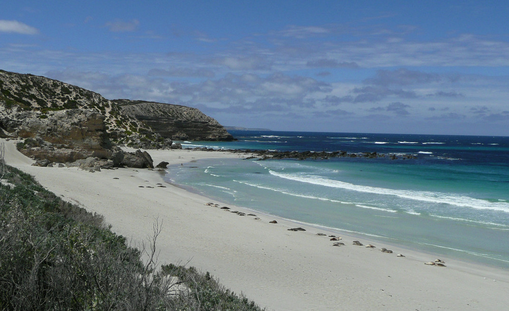 Australien-Kangaroo Island: Seal Bay Conservation Park