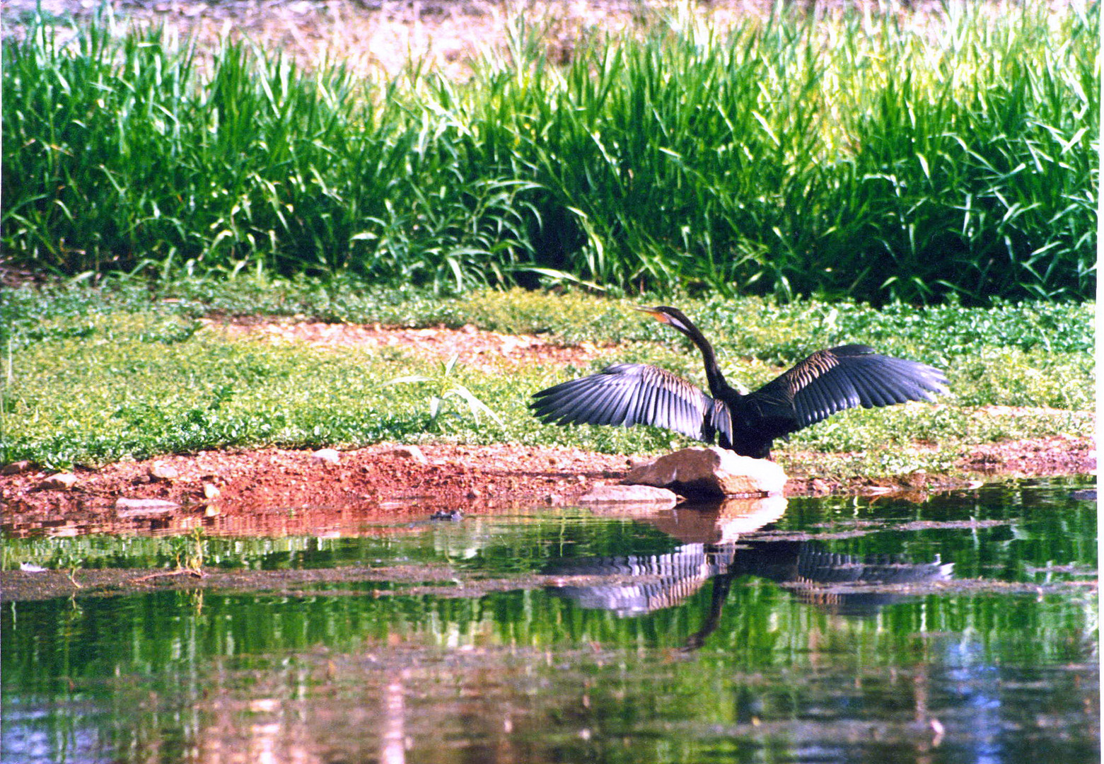 Australien-Northern Territory-Kakadu Nationalpark