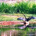 Australien-Northern Territory-Kakadu Nationalpark