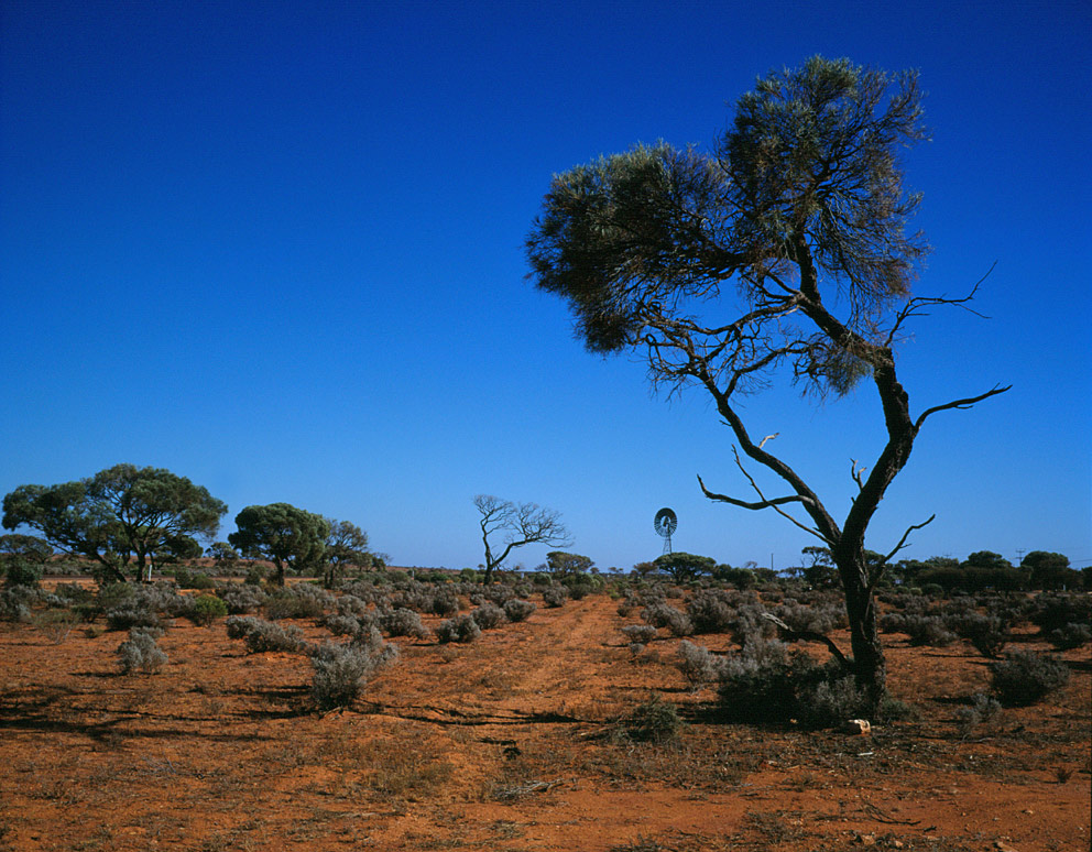 Australien (Outback)