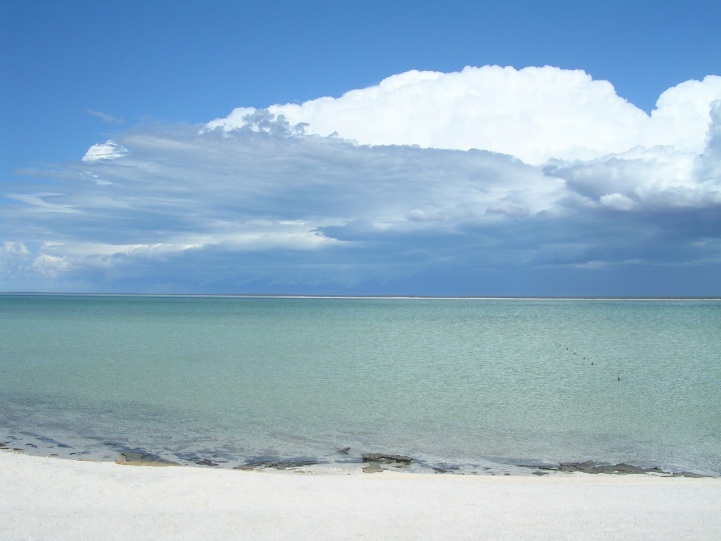 Australien Shellbeach