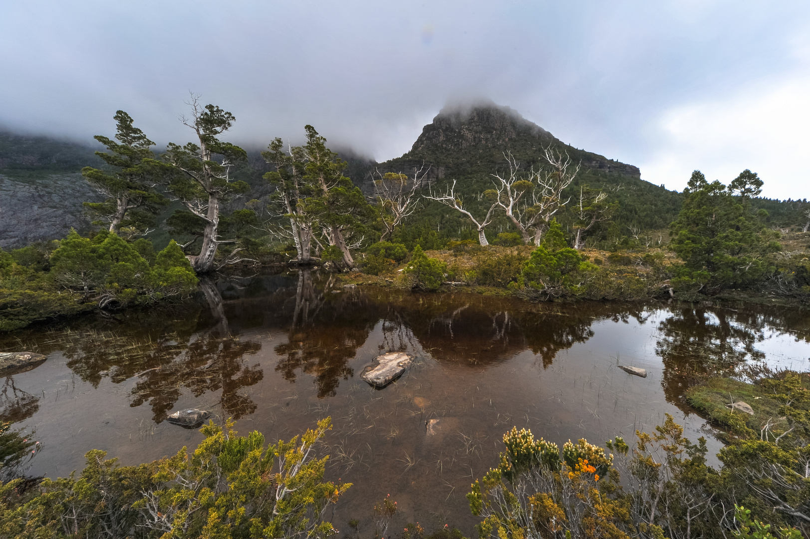 Australien: Tasmanien, Artist Pool im Cradle Mountain National Park