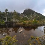 Australien: Tasmanien, Artist Pool im Cradle Mountain National Park