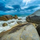 Australien, Tasmanien: St. Helens Conservation Area