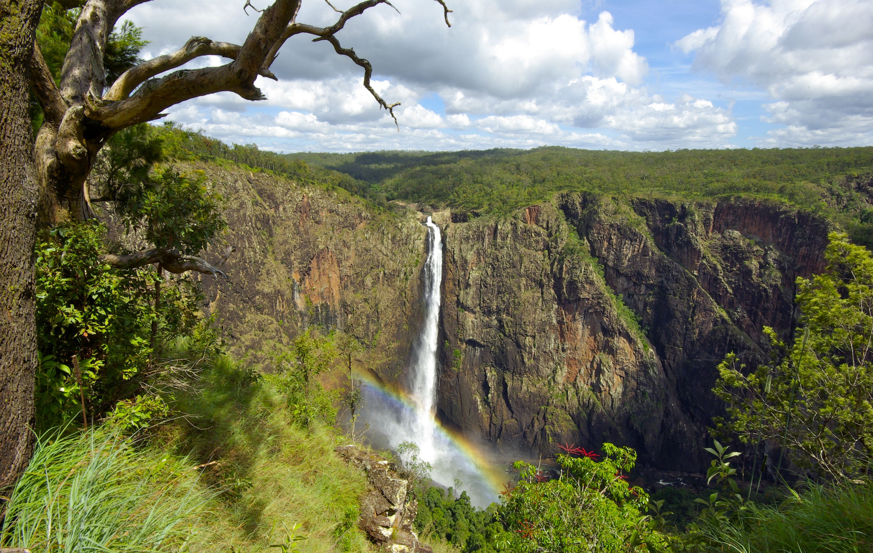 Australiens höchster Wasserfall