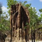 Australischer Riesentermitenhügel