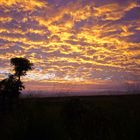 Australischer Sonnenuntergang