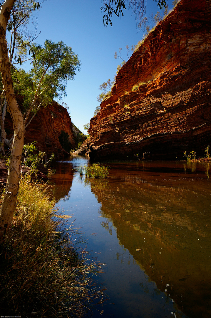 Australischer Spiegel