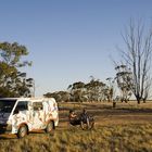 Australisches Ausspannen in Brim, NSW