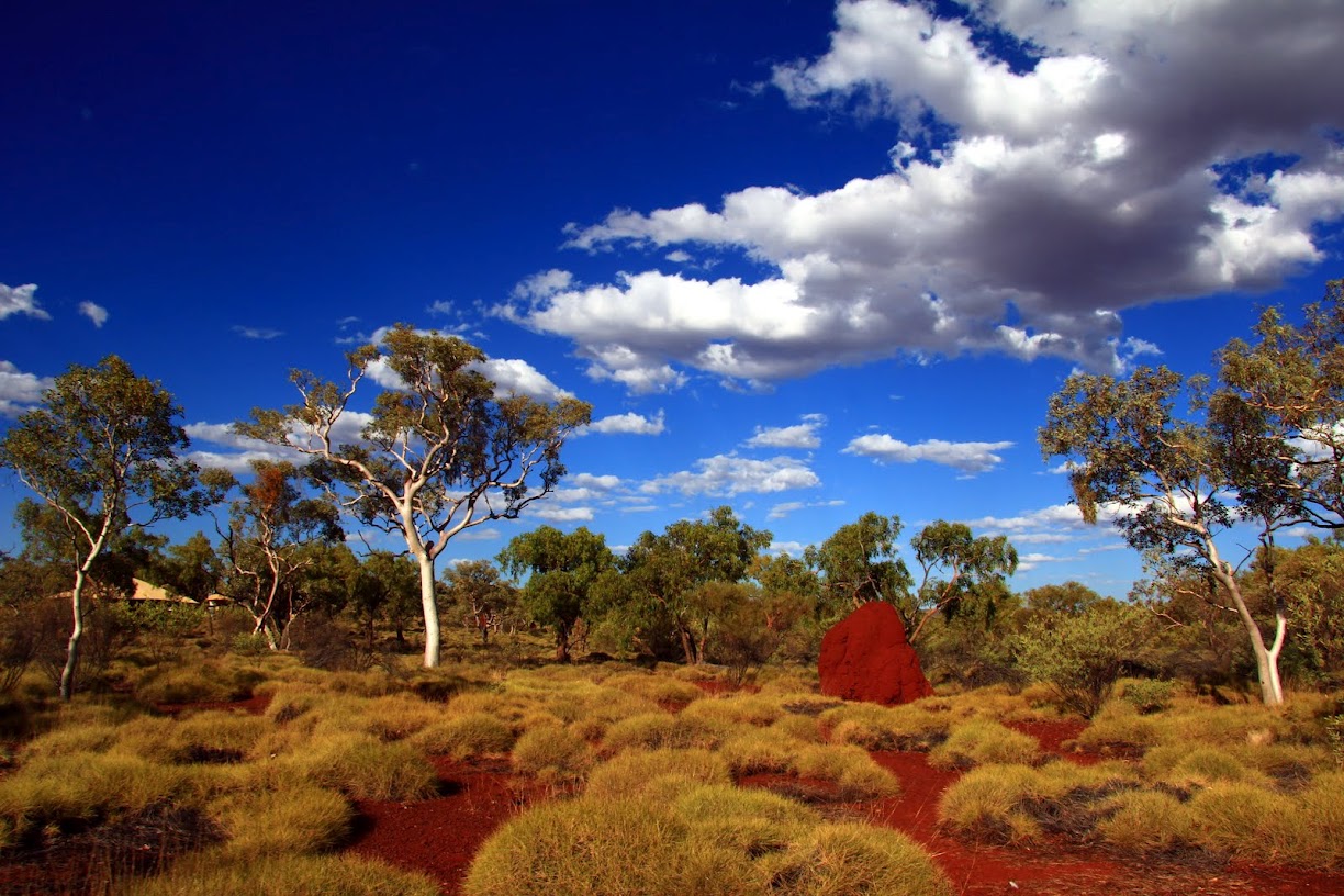 Australisches Hinterland