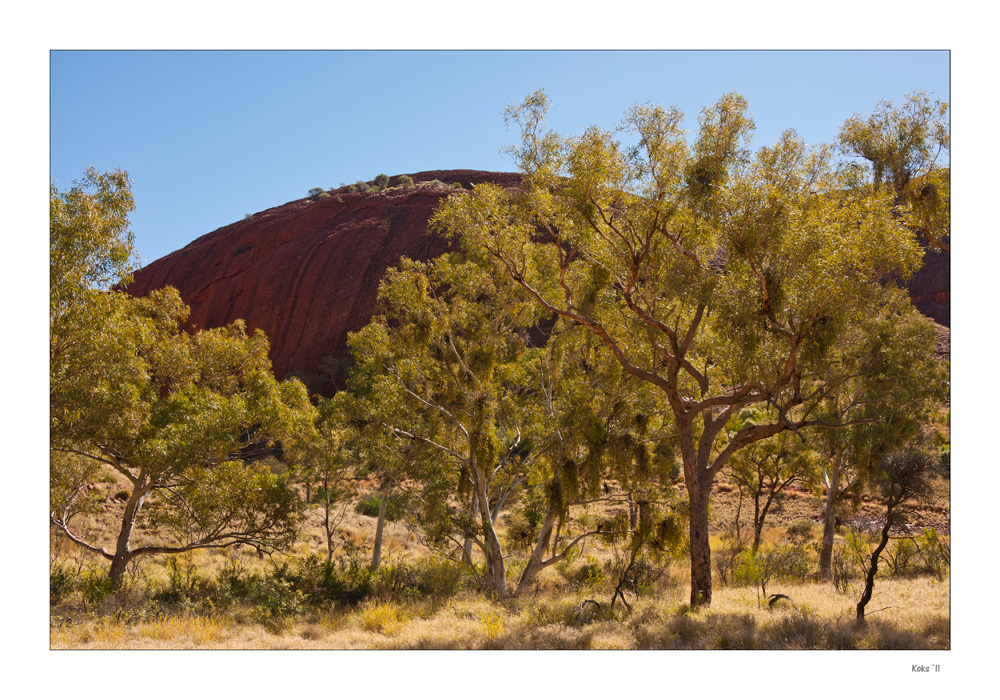 australisches Licht