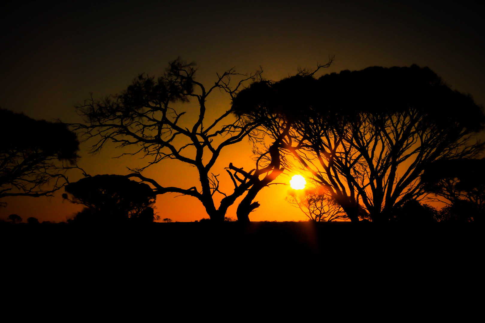 Australisches Outback