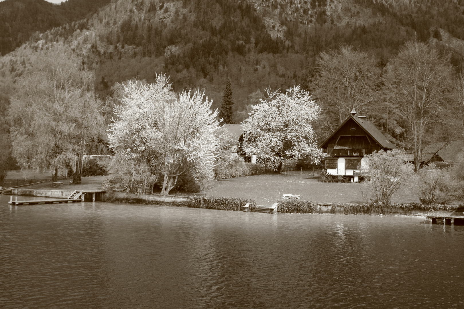 Austria Lago con Alberi