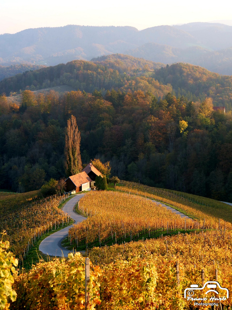 Austria, Styria, Hearts Road: Südsteirische Weinstraße 