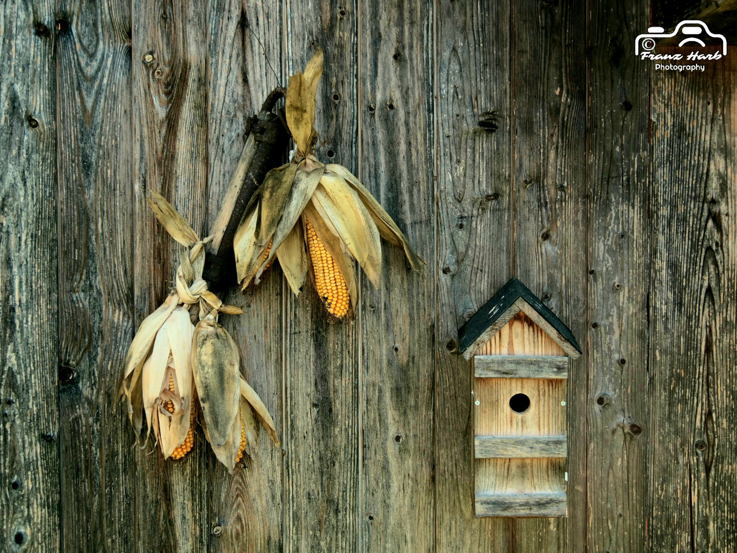 Austria, Styria: Landleben