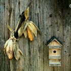 Austria, Styria: Landleben