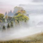 Austria, Styria, Leibnitz: Südsteirische Weinstrasse